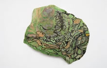 Julia Salinger Reality Shell